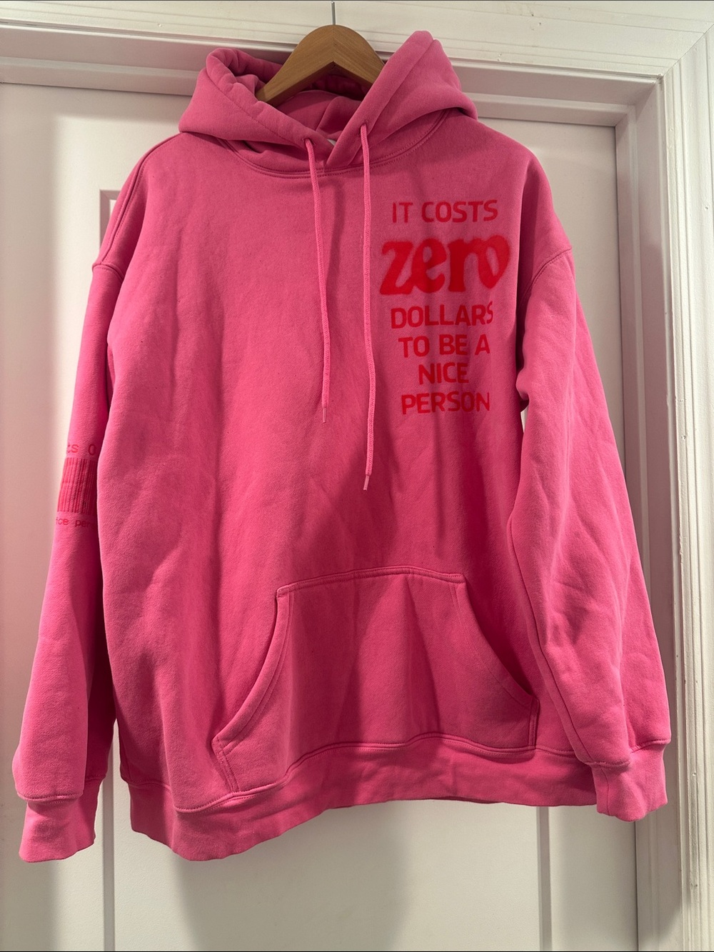 Pink Graphic Hoodie Sweater - It Costs Zero Dollars